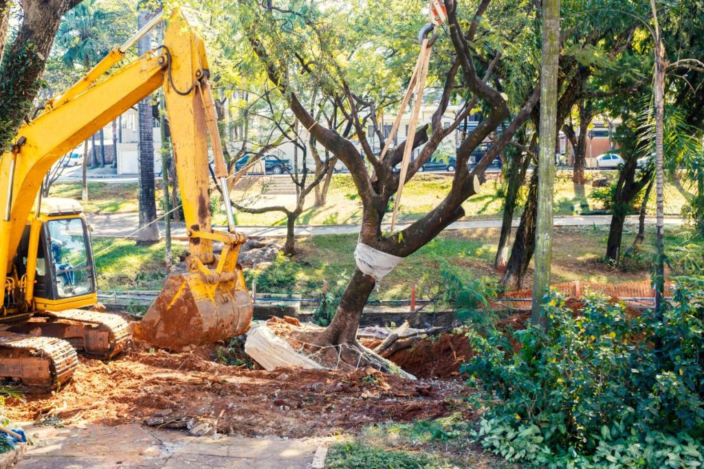 tree excavation st joseph mo